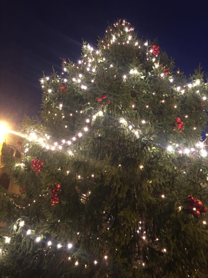 sansepolcro- piazza torre berta accenzione albero