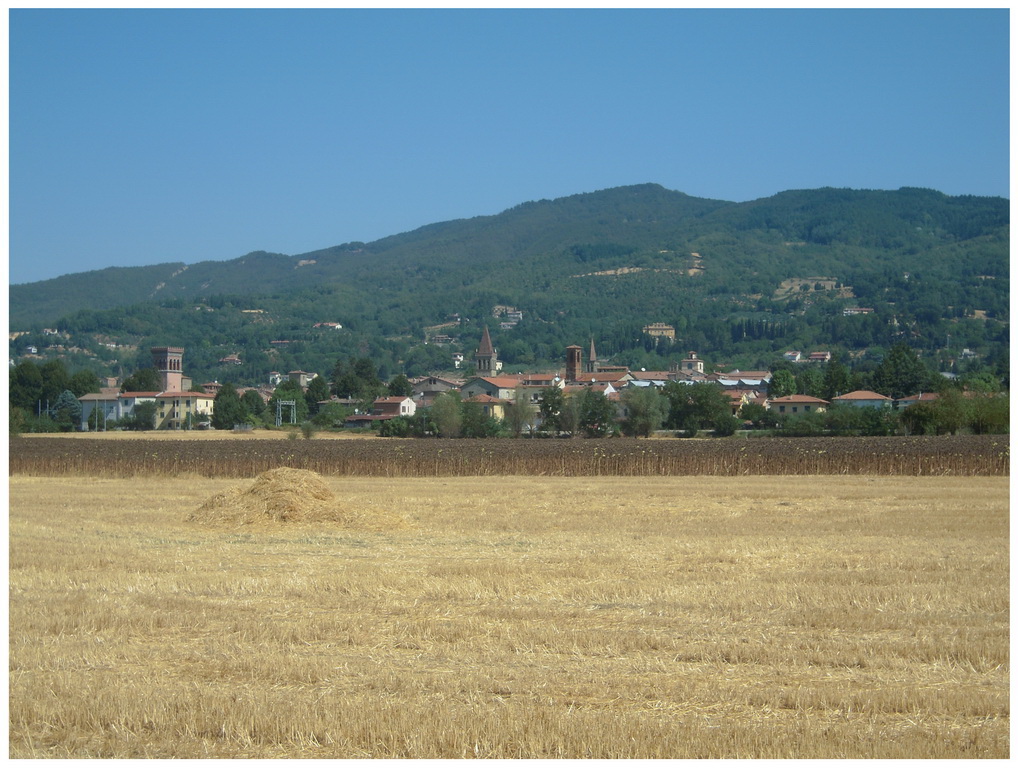 sansepolcro attività selvicolturali sospese