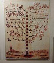 sansepolcro mostra famiglia buitoni palazzo alberti albero genealogico famiglia buitoni