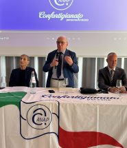 festa provinciale anap confartigianato