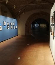 sansepolcro mostra frida khalo