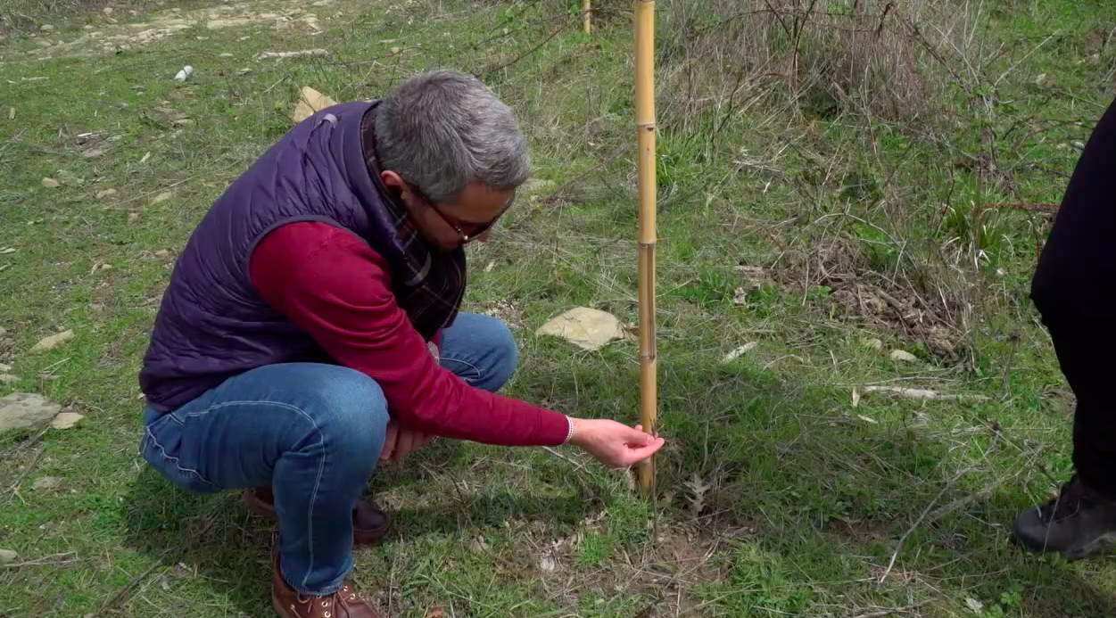 progetto valtiberina adotta una pianta