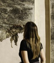 mostra