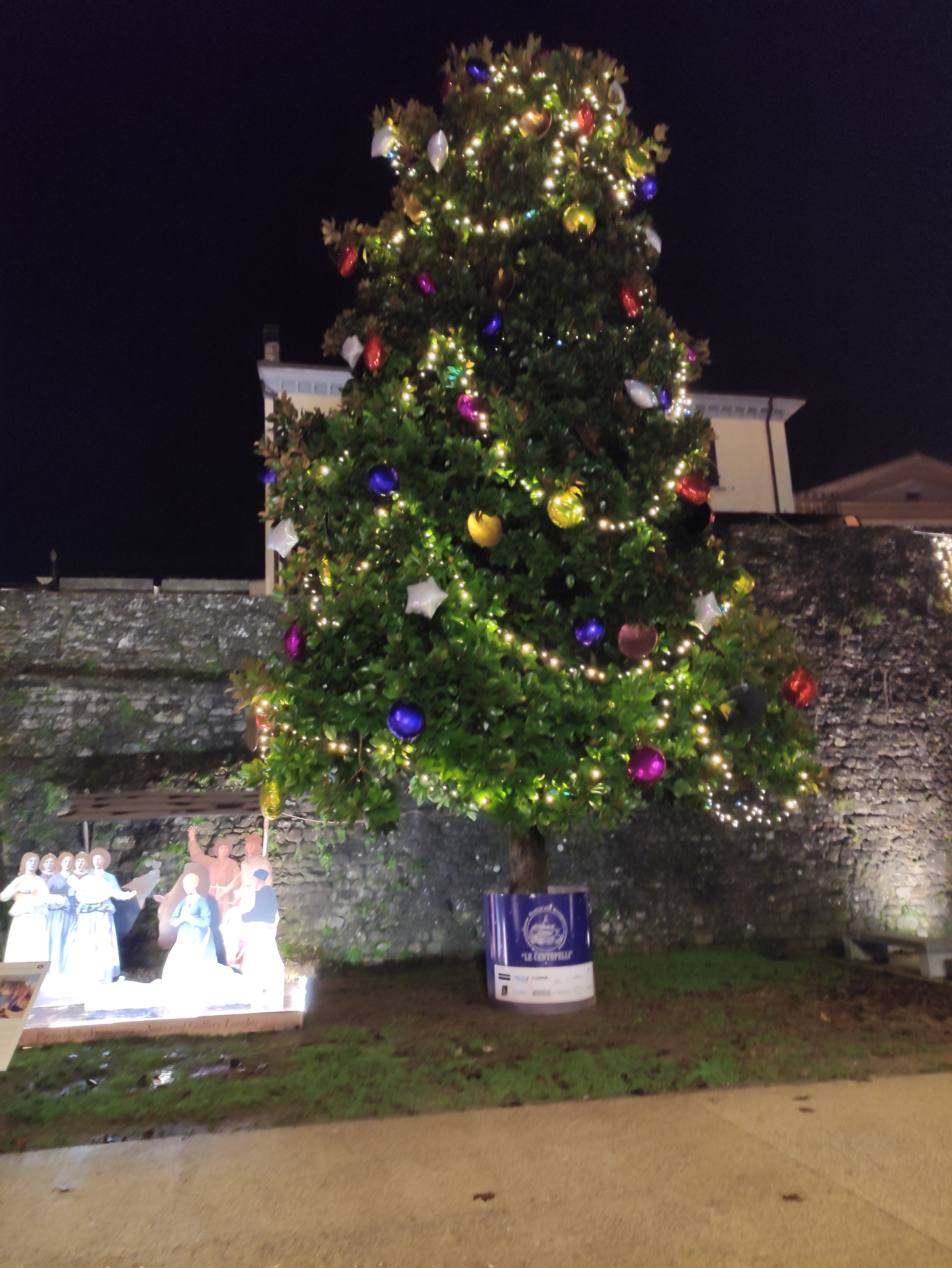 sansepolcro porta fiorentina albero natale