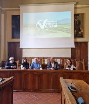 presentazione assessore menichella