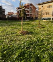 sansepolcro giardino via xxv aprile