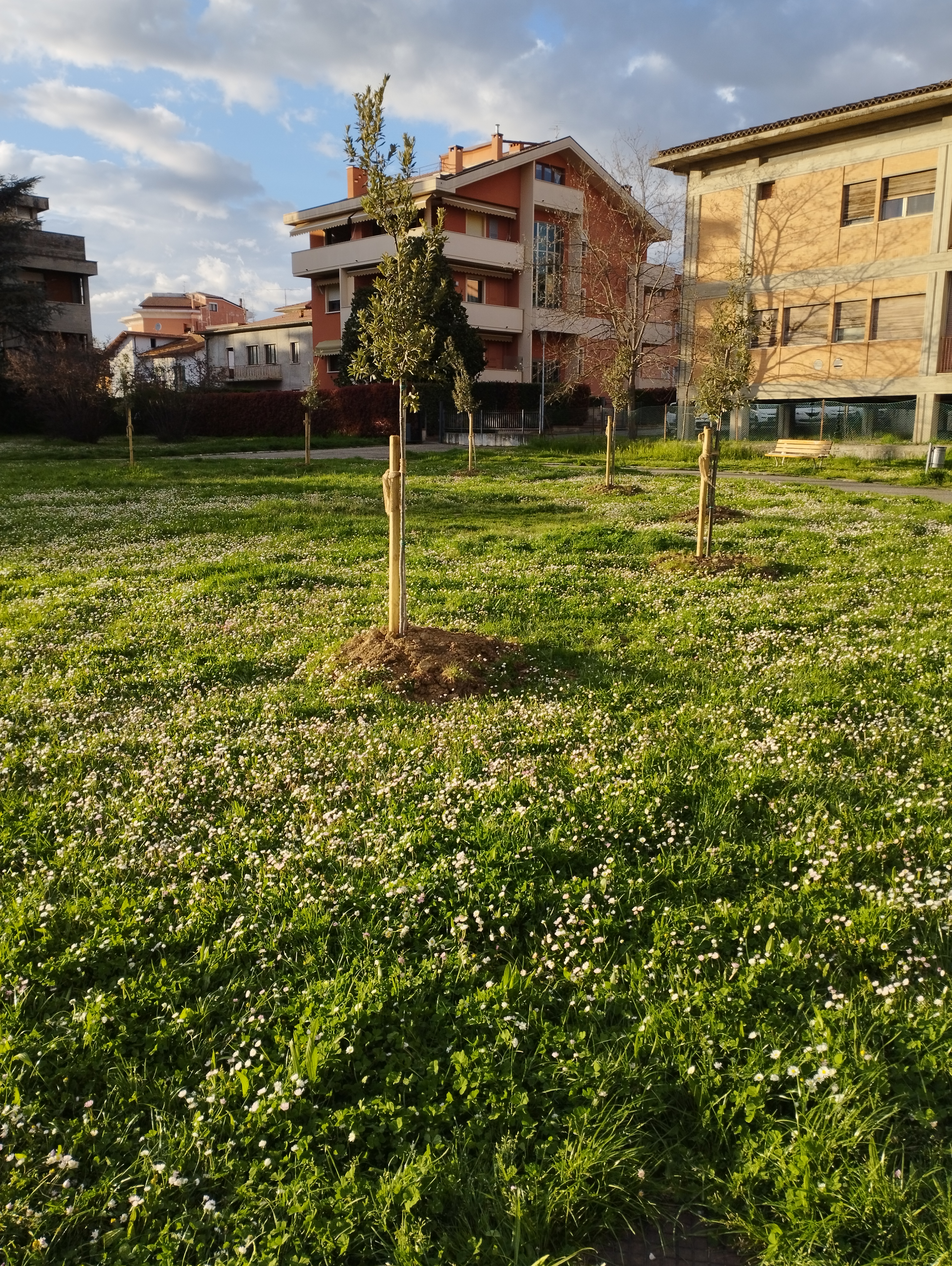 sansepolcro giardino via xxv aprile