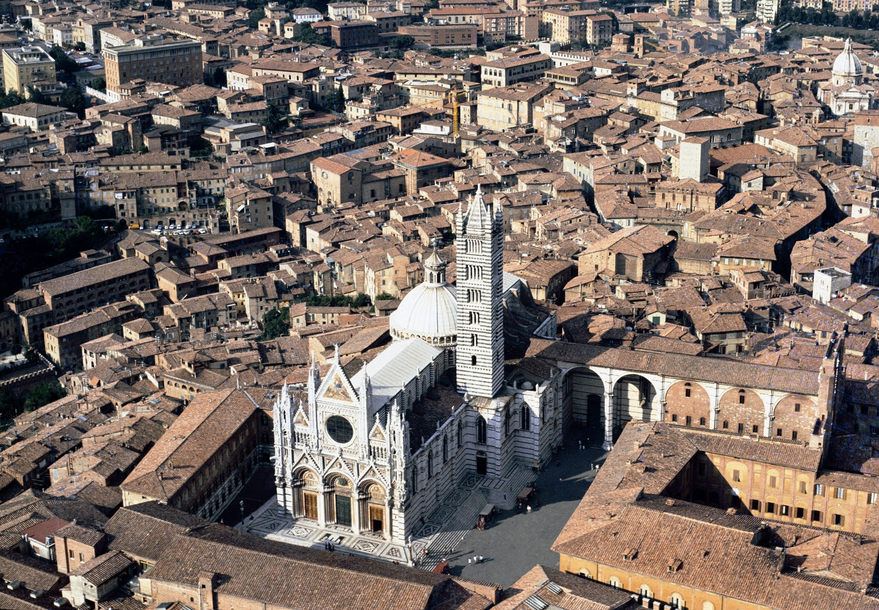 siena