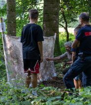 foresta camaldoli naturografie progetto paesaggi assoluti