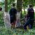 foresta camaldoli naturografie progetto paesaggi assoluti