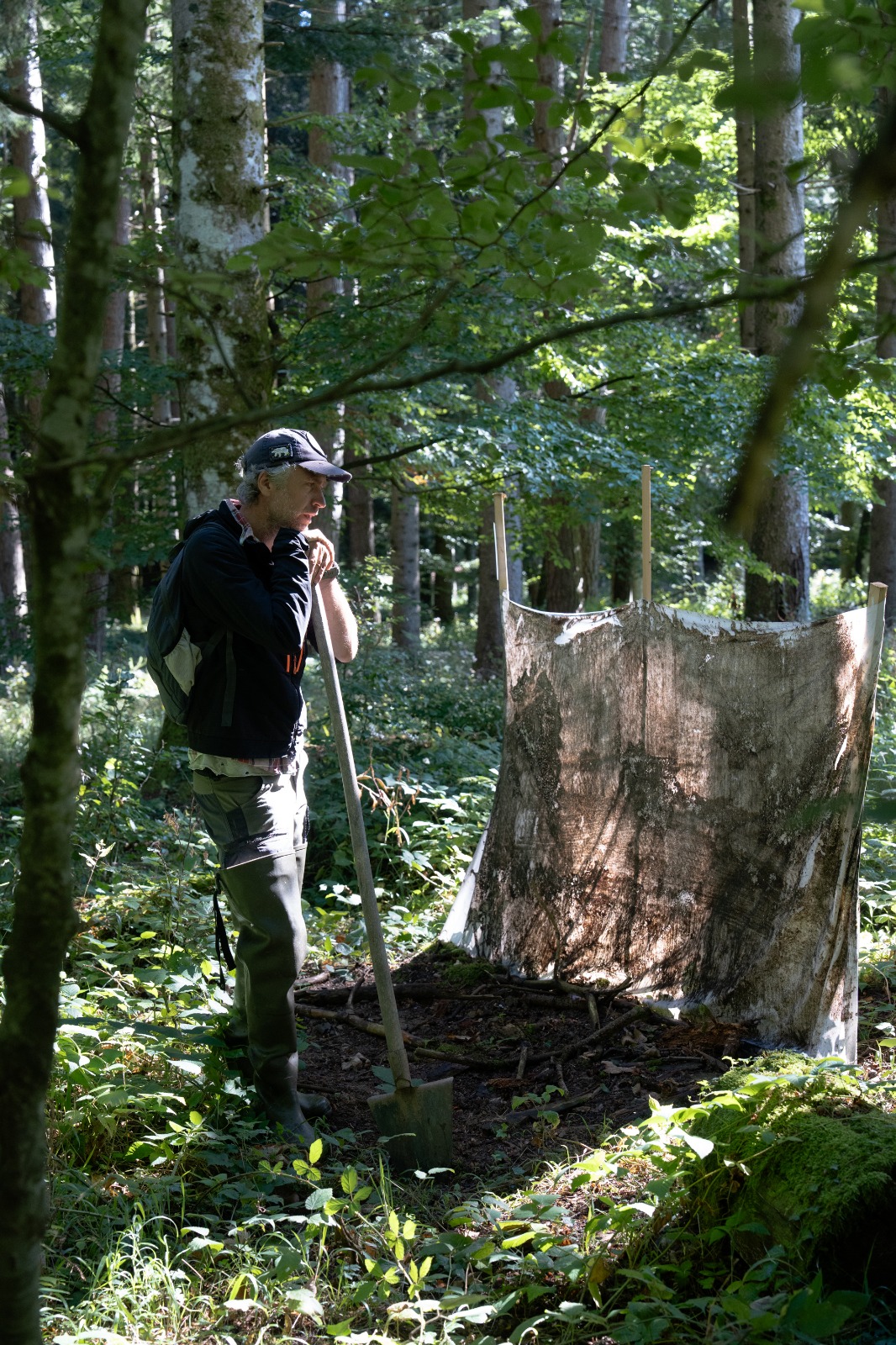 mostra ghezzi istallazioni