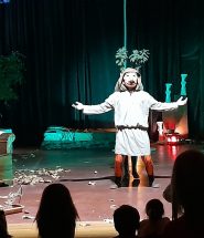 spettacolo la vita degli elfi