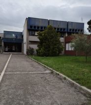 sansepolcro scuola buonarroti pacioli