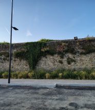 sansepolcro mura urbane percorso ciclopedonale vegetazione