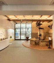 museo dell'olio superevo
