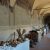 sansepolcro concattedrale mercato sant'egidio
