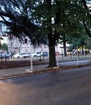 sansepolcro piante viale diaz